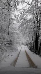 Zimske razmere v občini Kamnik do 10. ure 6